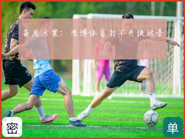 备用方案：浩博体育打不开换这条